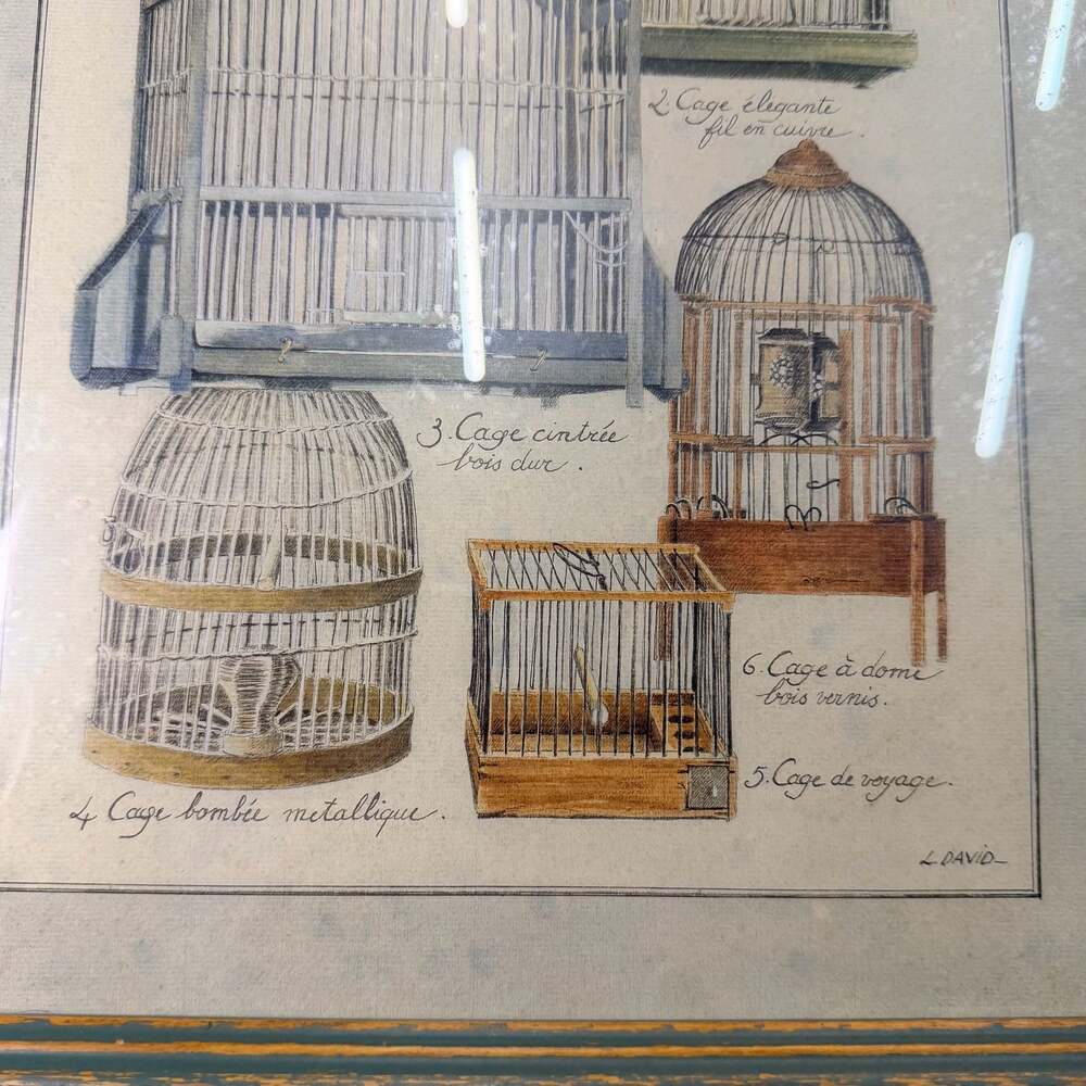 Vintage L. David French Bird Cage Botanical Prints, Distressed Green Frames (2) - Picture 7 of 10